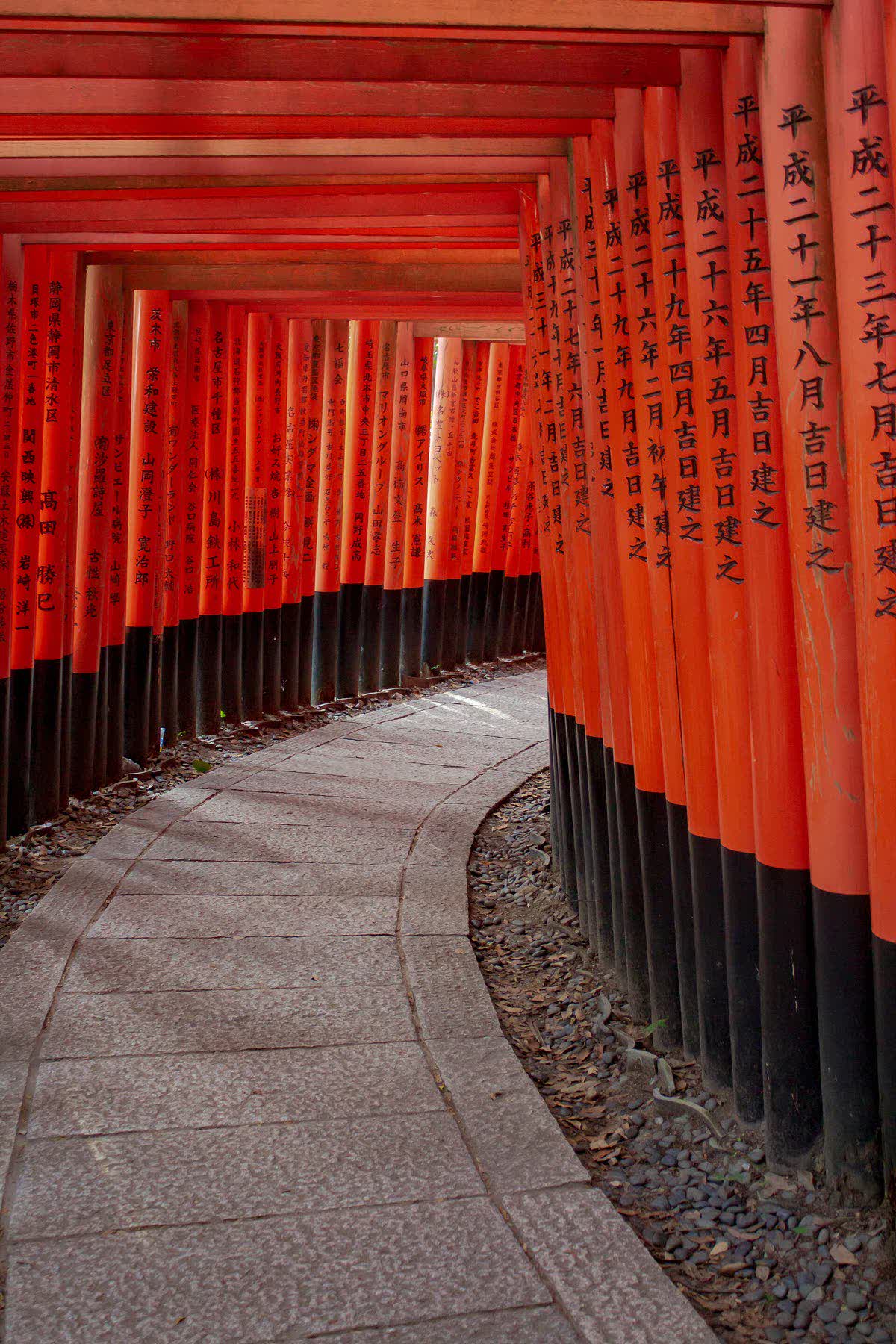 Senbon Torii at Fushimi Inari