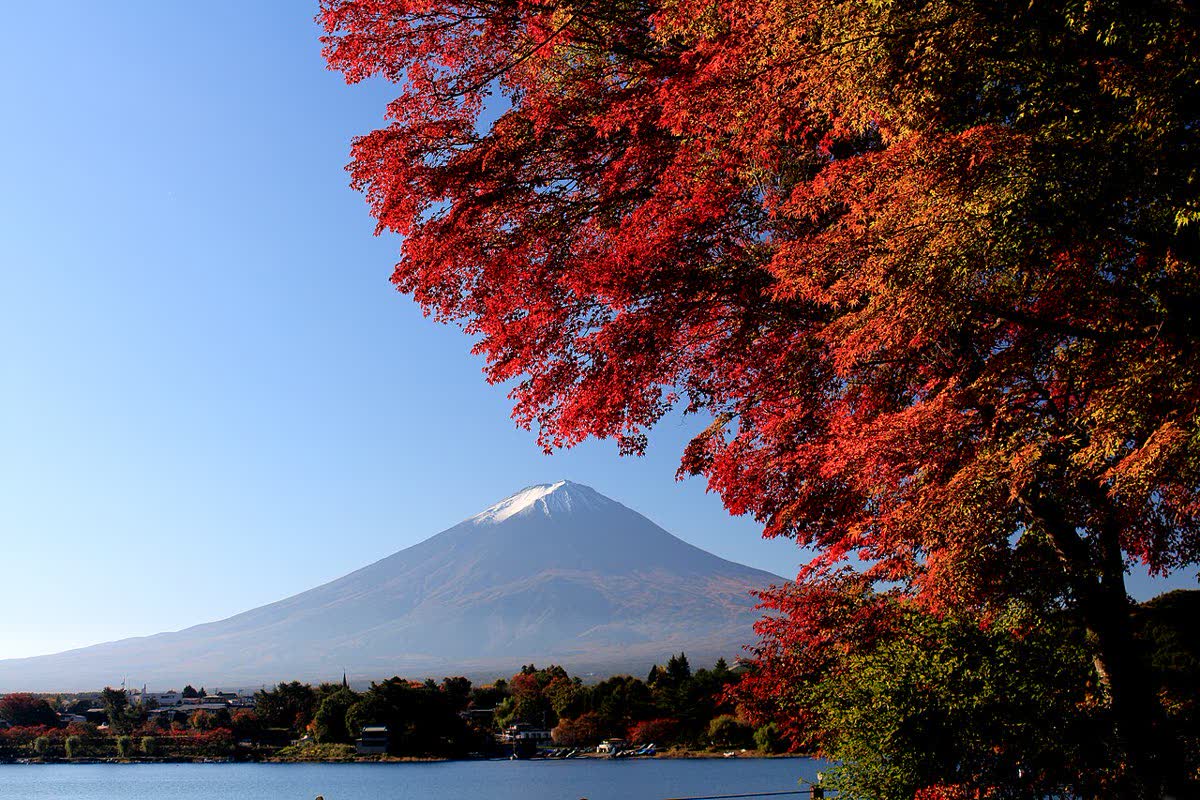 Mt Fuji with autumn colour over Lake Kawaguchiko
